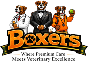 Boxers Bed & Biscuits logo