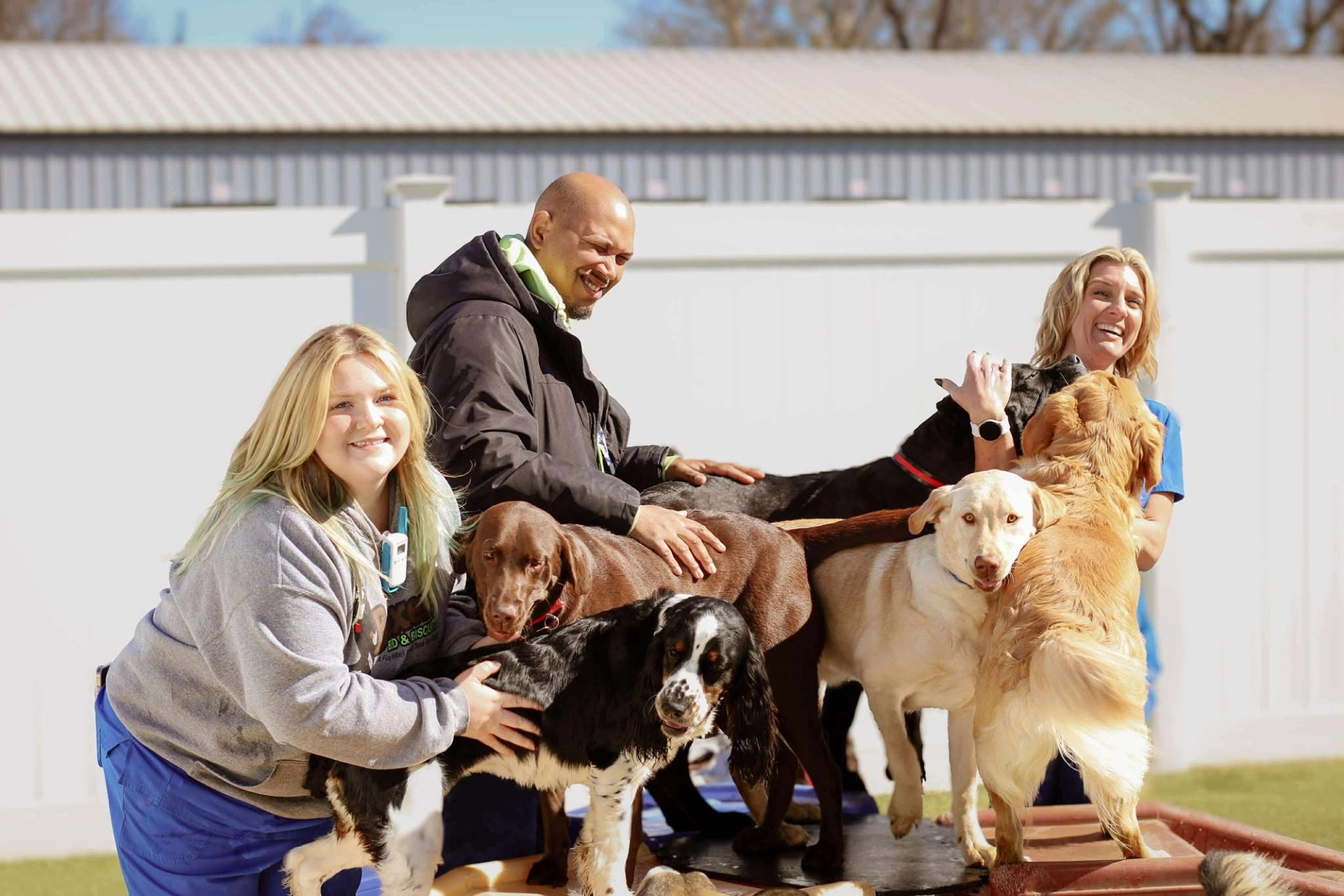 Boxers Bed & Biscuits gallery photo