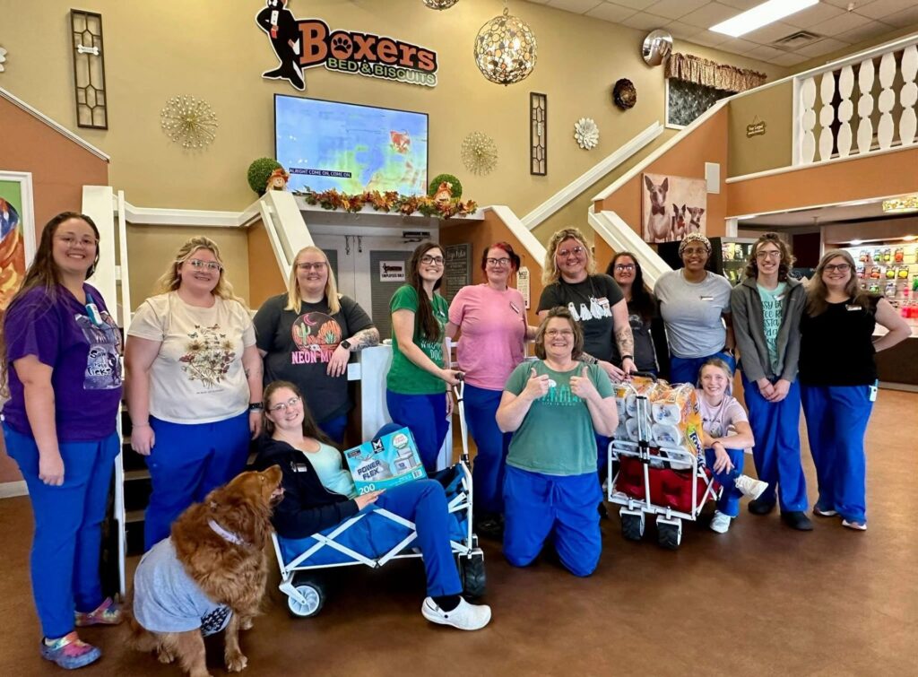 The Boxers Bed & Biscuits team