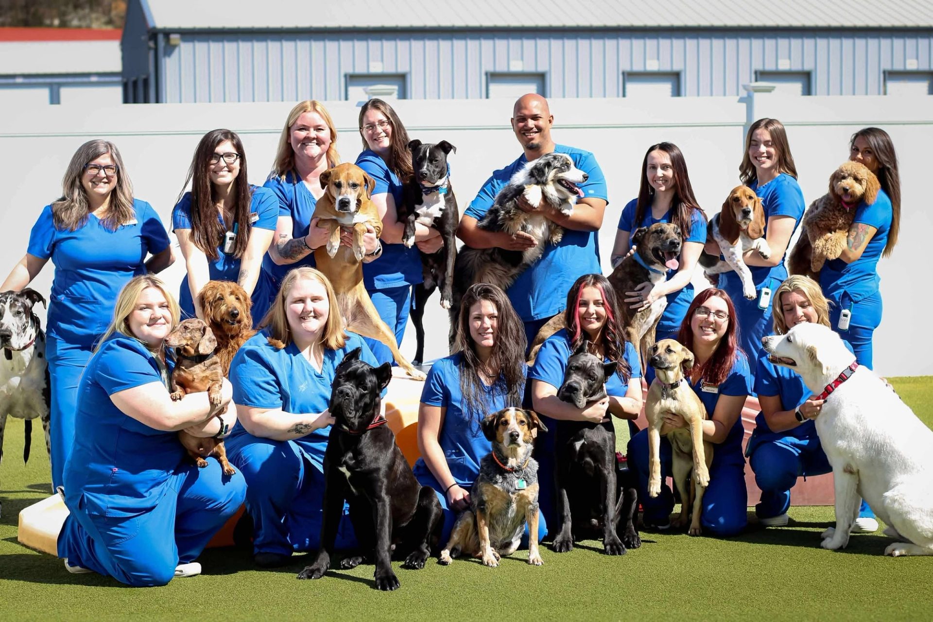 On-site veterinary care